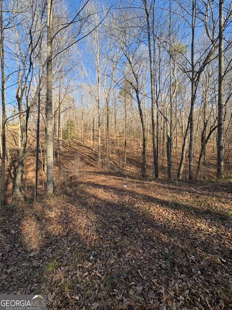 0 Gold View Drive Property Photo 1