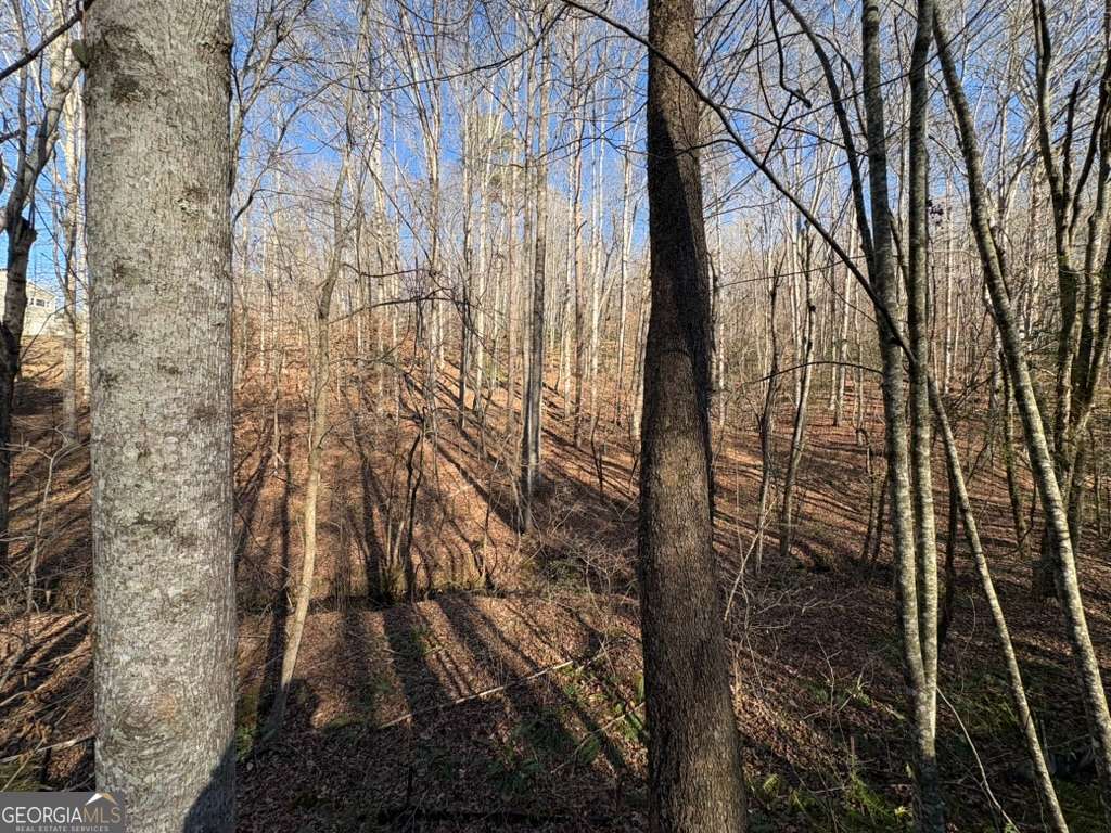 0 Gold View Drive Property Photo 3