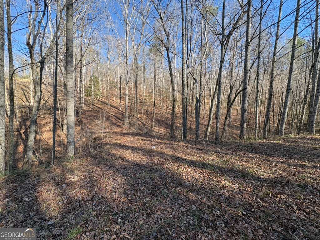 0 Gold View Drive Property Photo 5