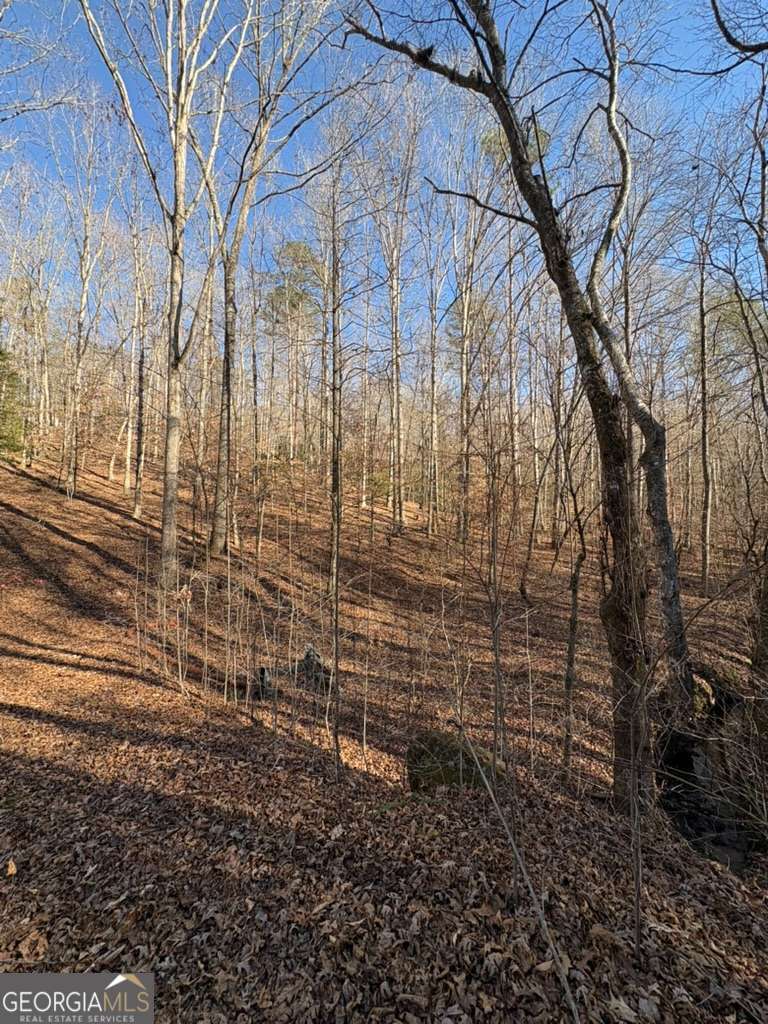 0 Gold View Drive Property Photo 6