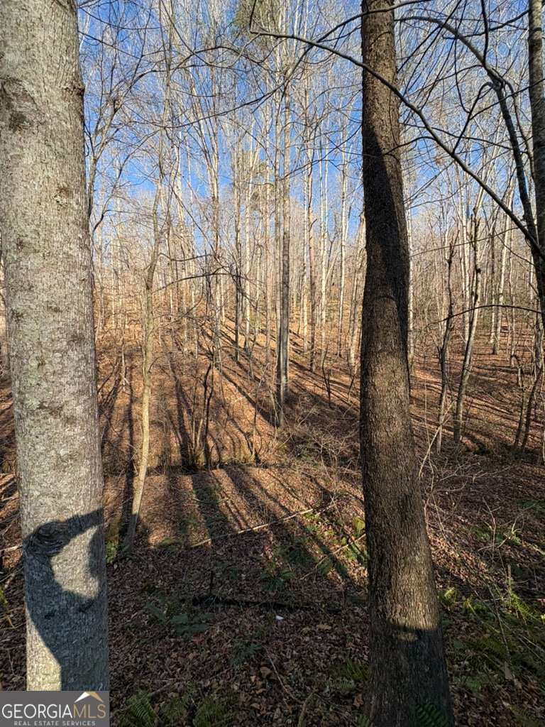 0 Gold View Drive Property Photo 11