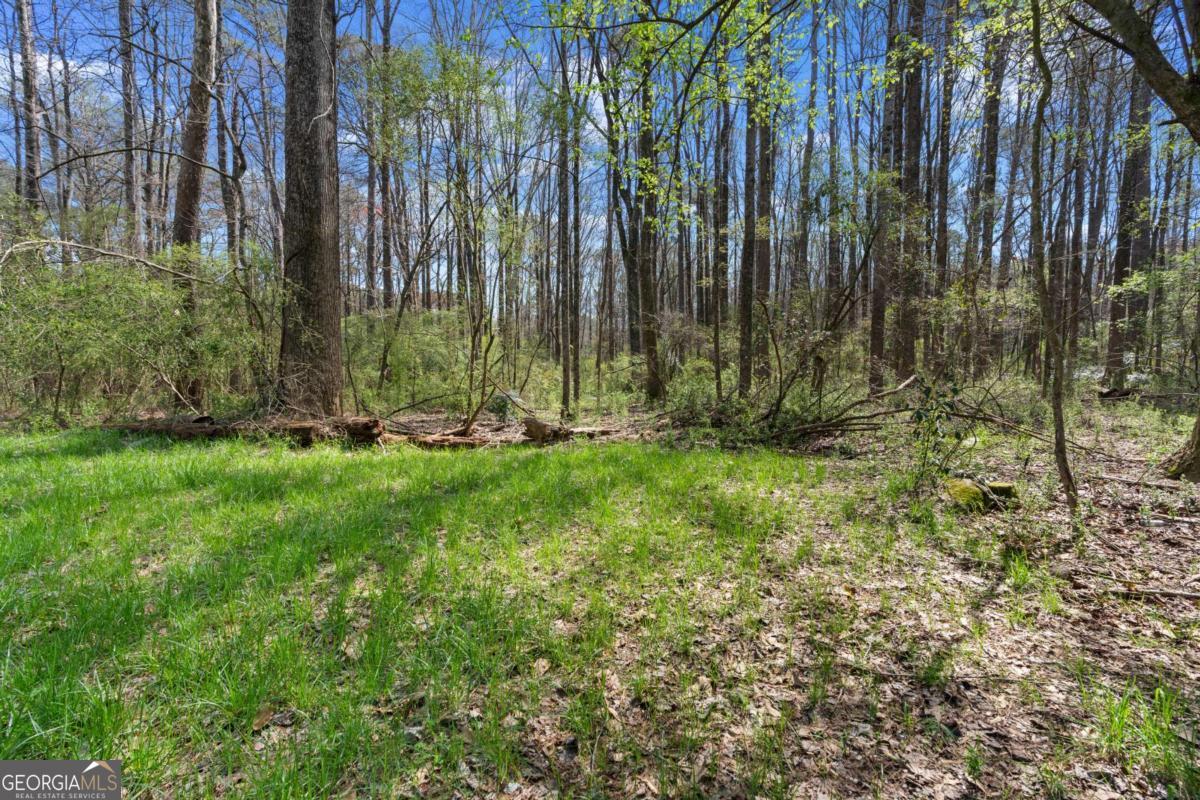 3222 Crossing Drive Property Photo 6