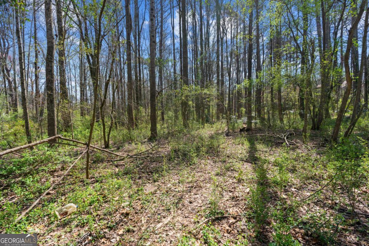 3222 Crossing Drive Property Photo 7