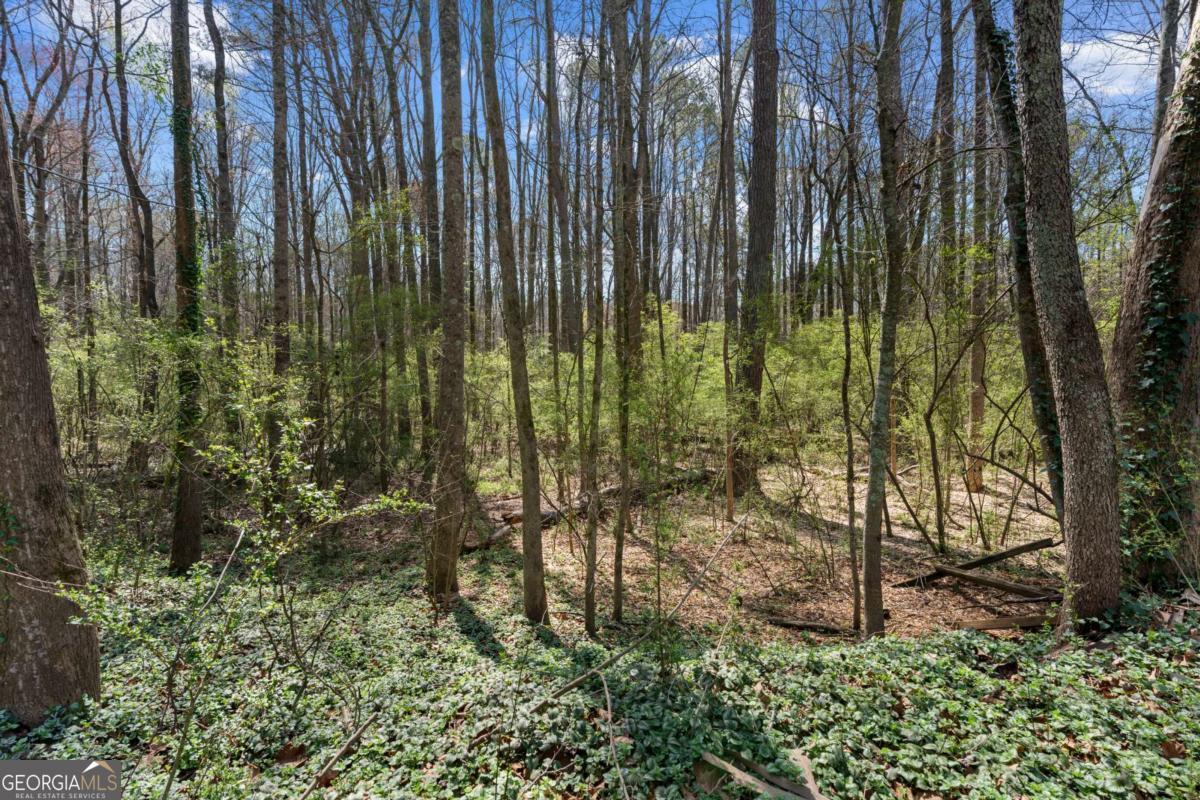 3222 Crossing Drive Property Photo 10