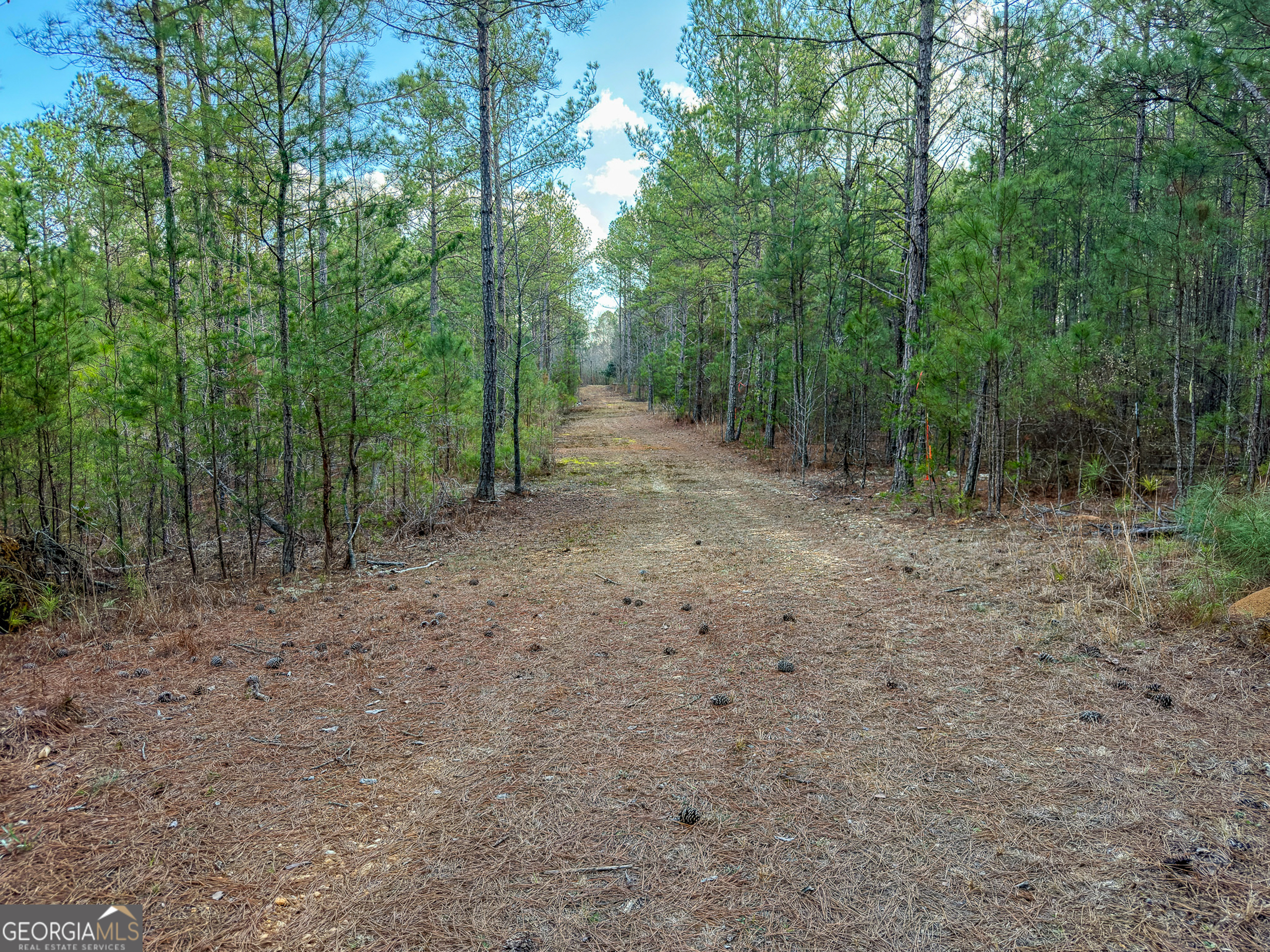 1304 Broad Street Property Photo 55