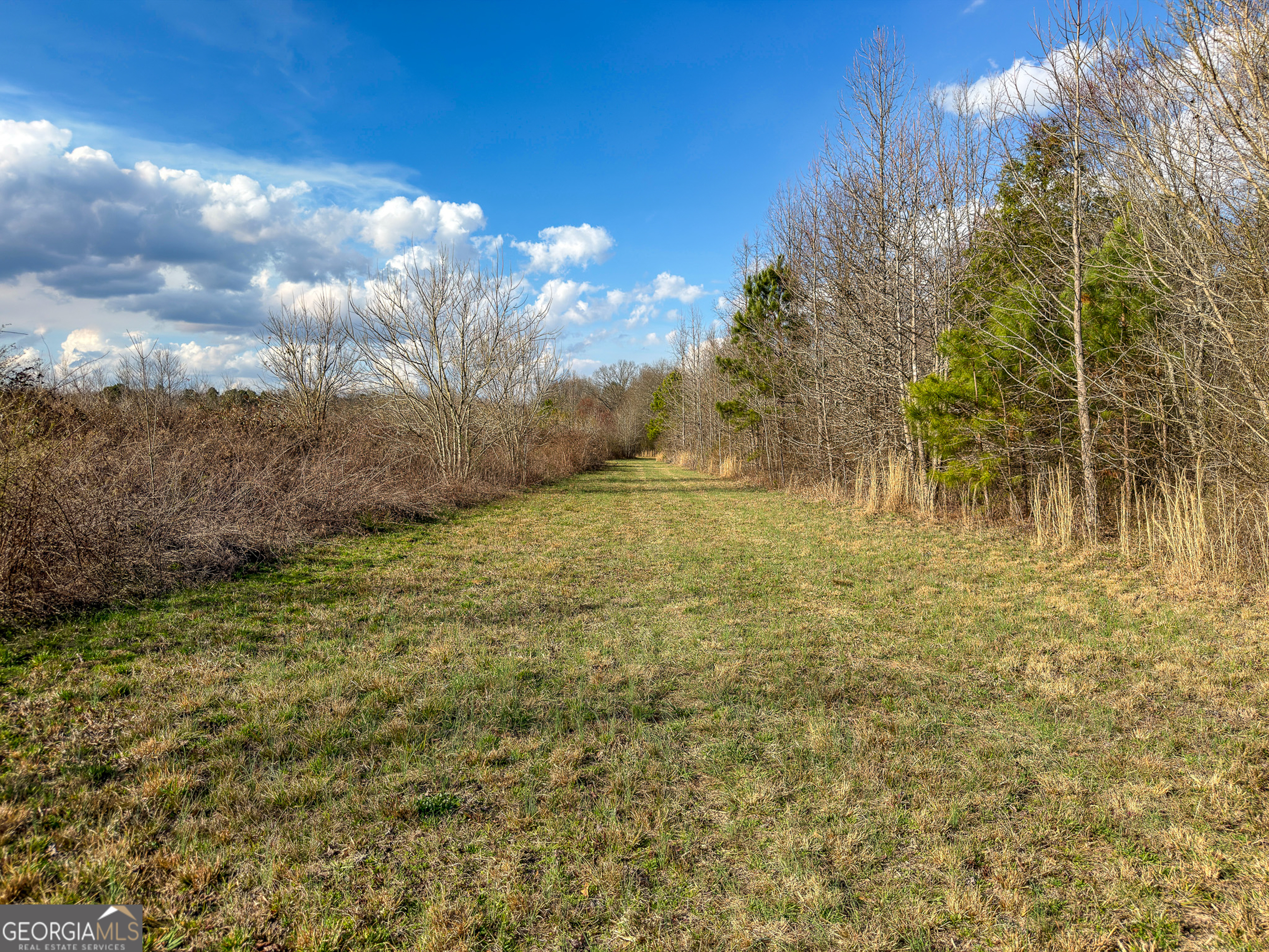 1304 Broad Street Property Photo 62