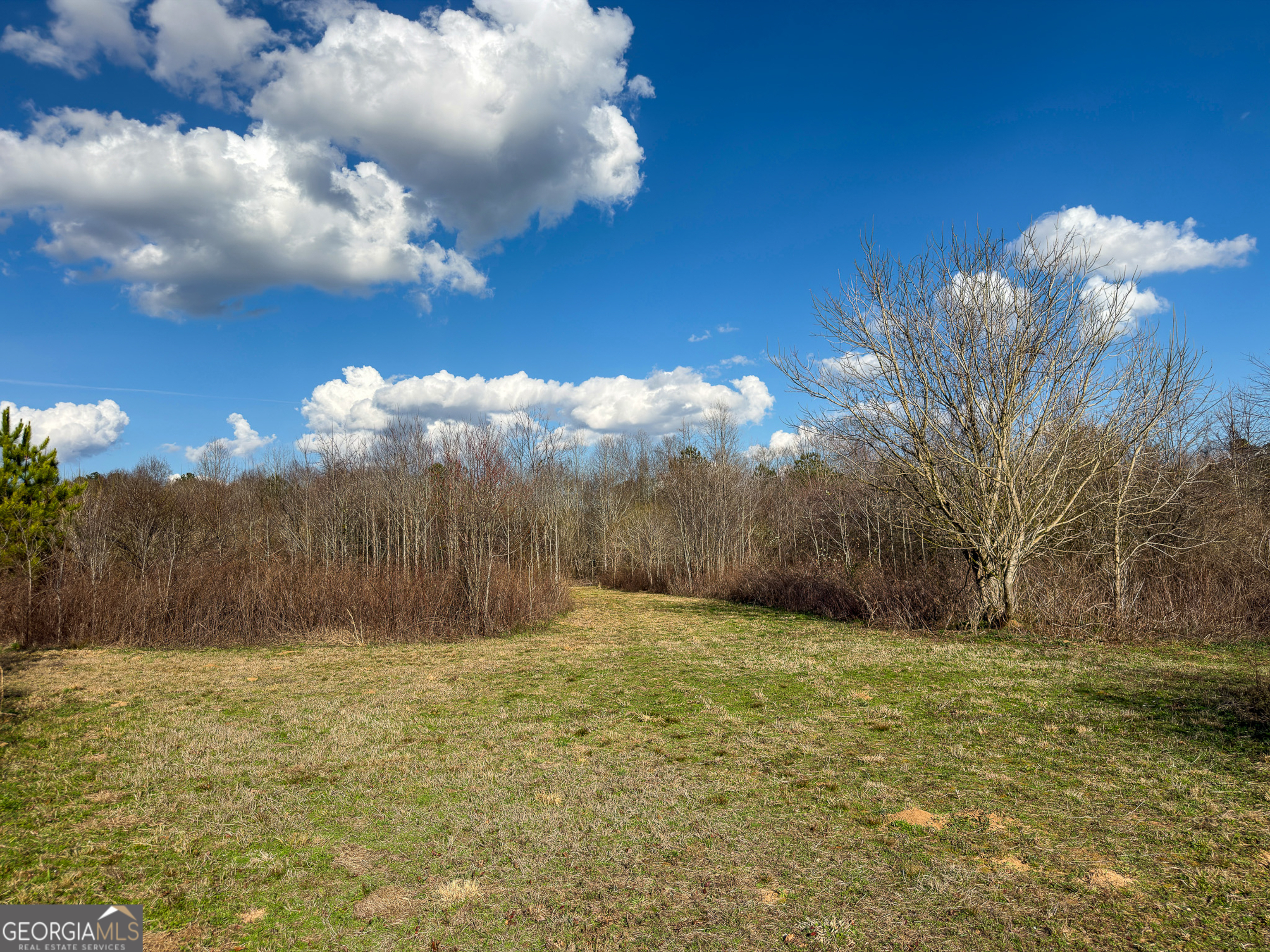 1304 Broad Street Property Photo 64
