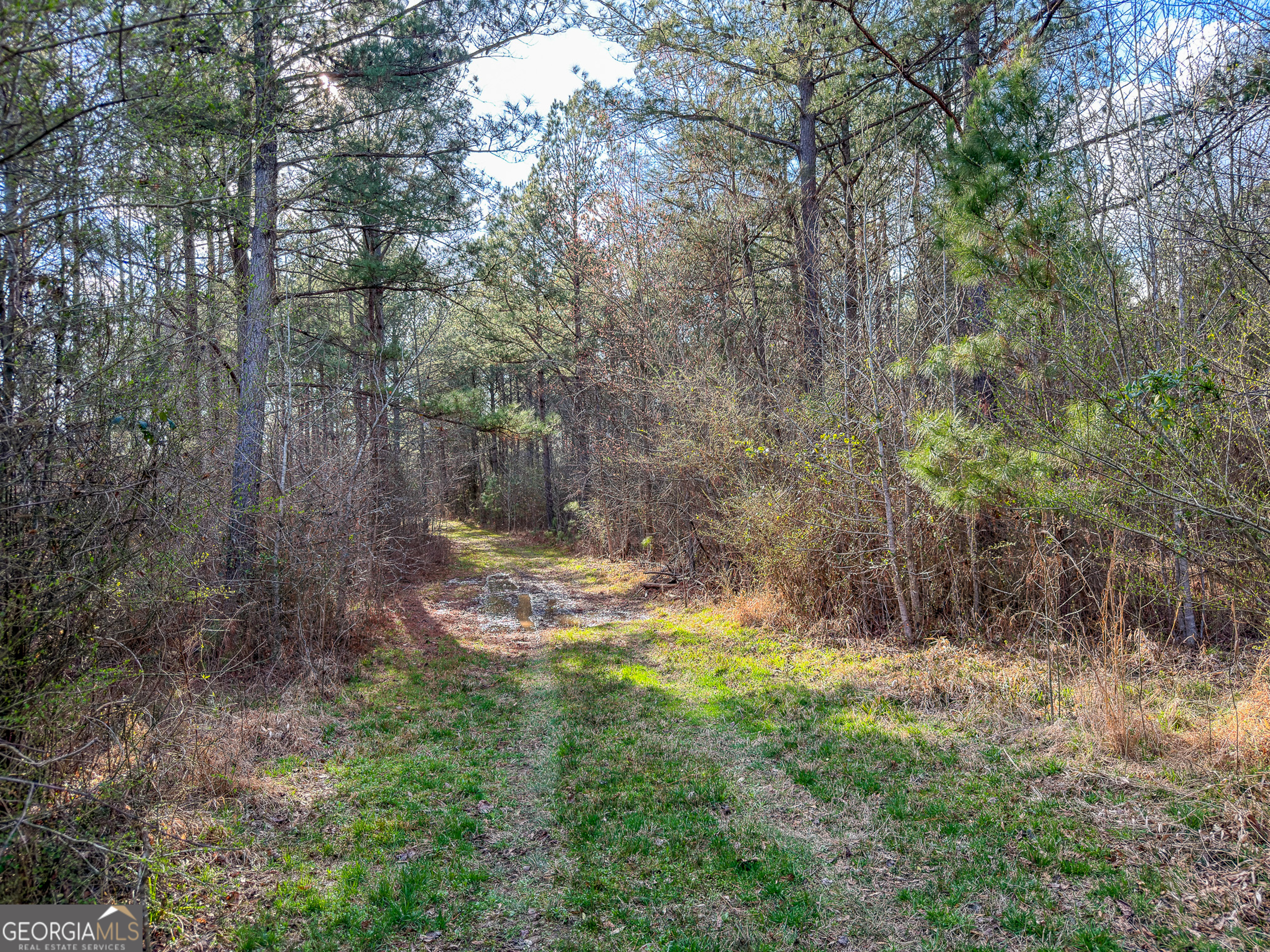 1304 Broad Street Property Photo 65