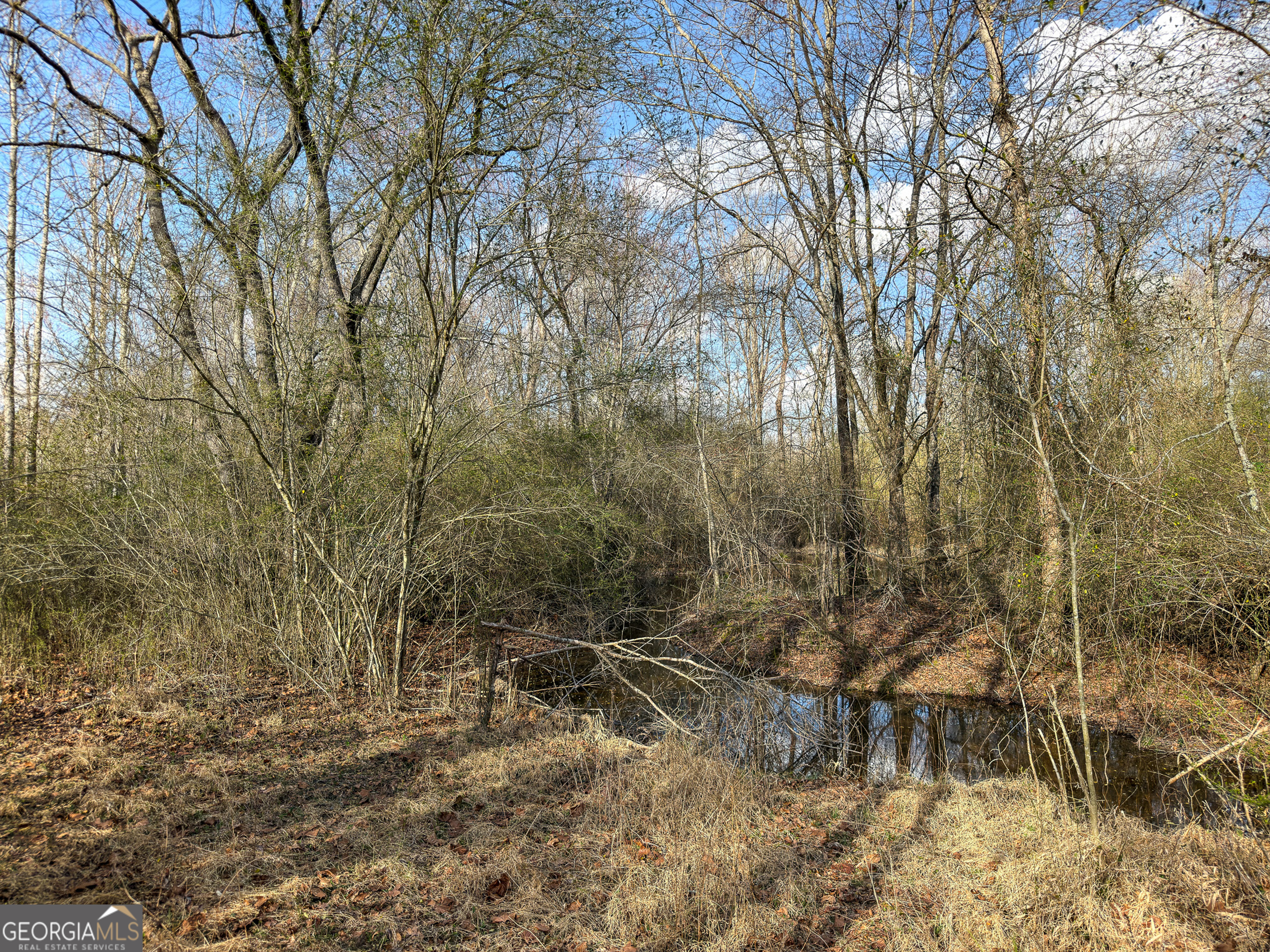 1304 Broad Street Property Photo 66