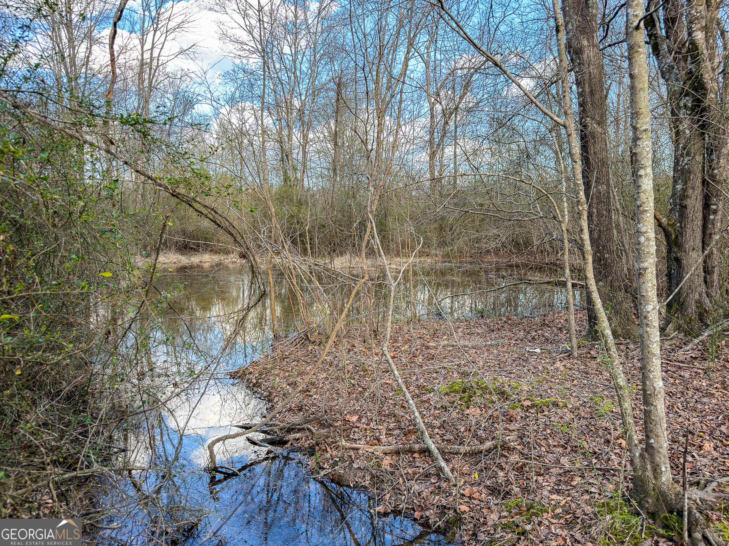 1304 Broad Street Property Photo 67