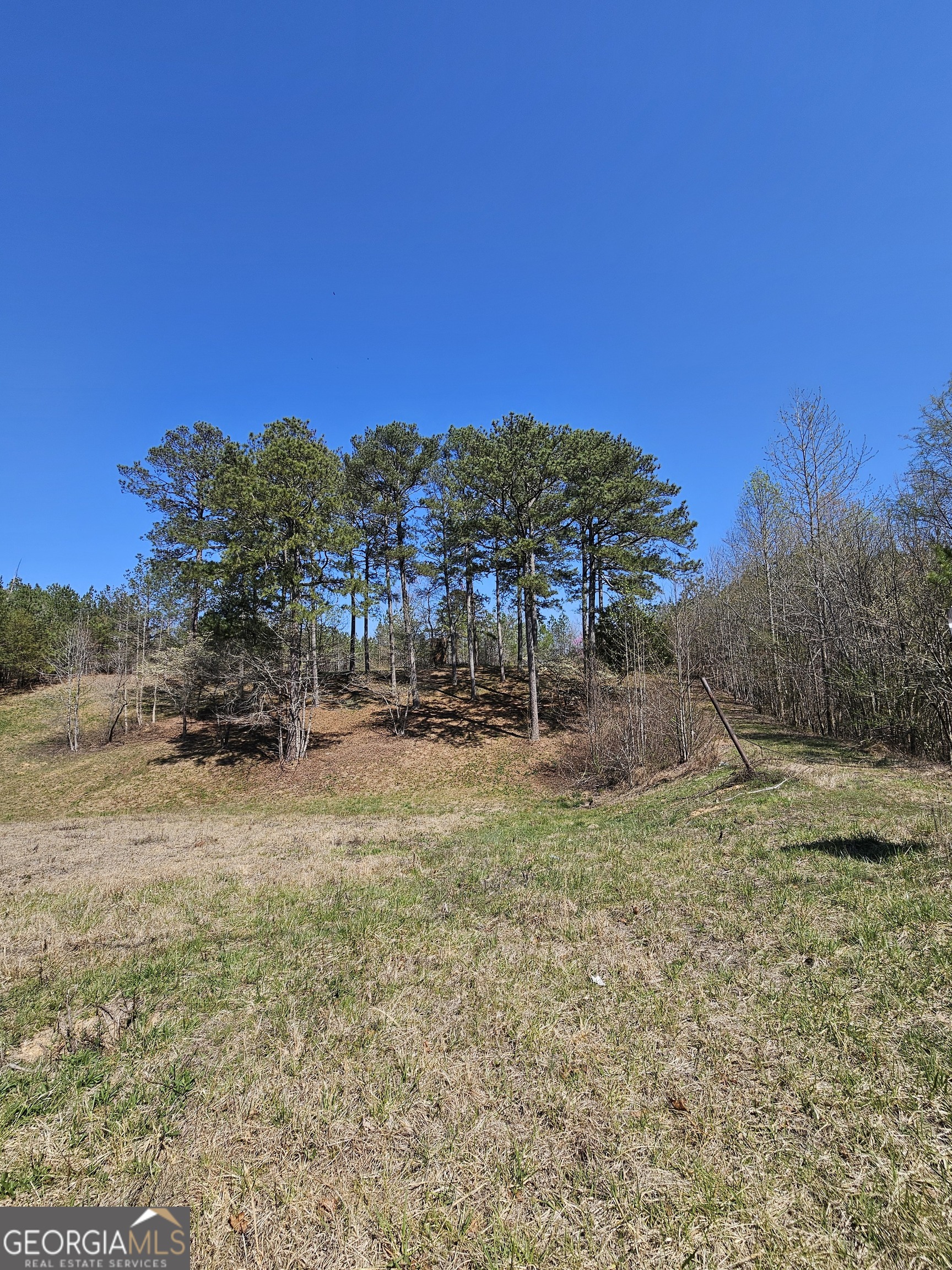 0 Maple Grove Church Road Property Photo 5