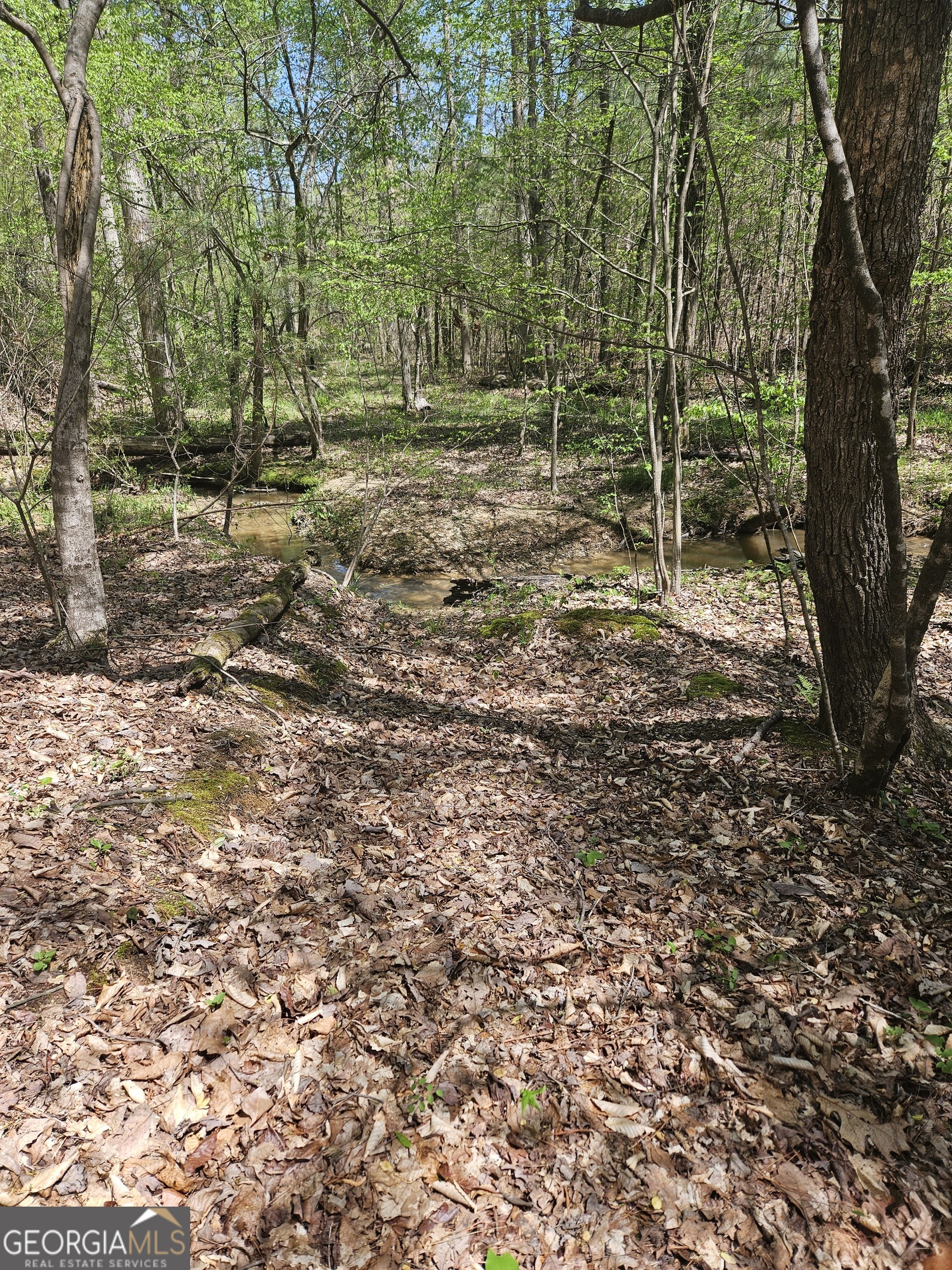 0 Maple Grove Church Road Property Photo 12