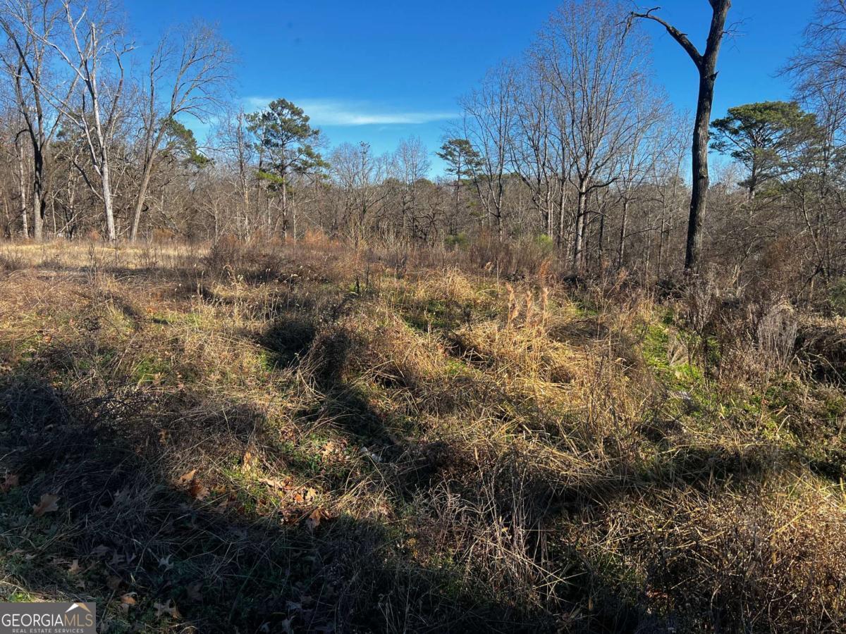 3092 Miller Road Property Photo 2