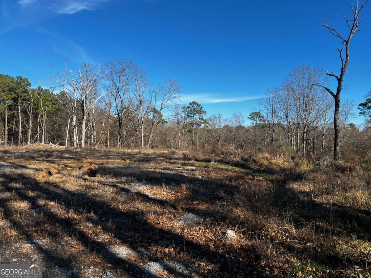 3092 Miller Road Property Photo 4