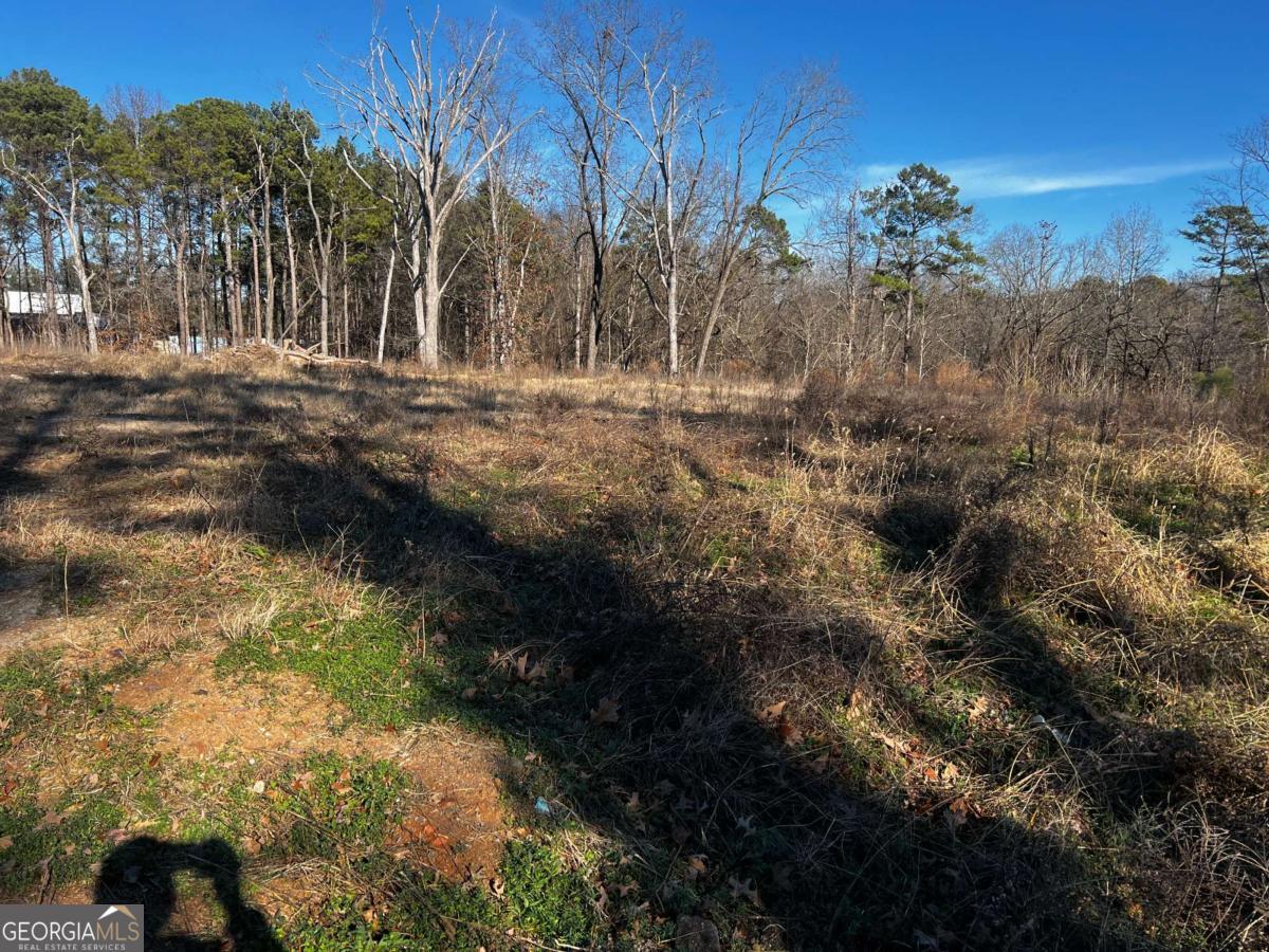 3092 Miller Road Property Photo 5