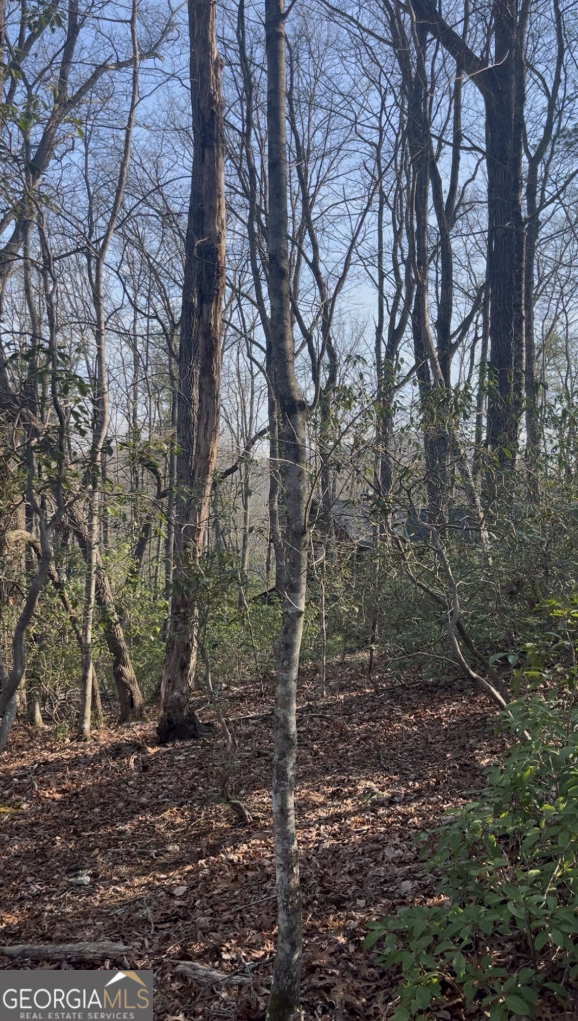 0 Highland Trail Property Photo 2
