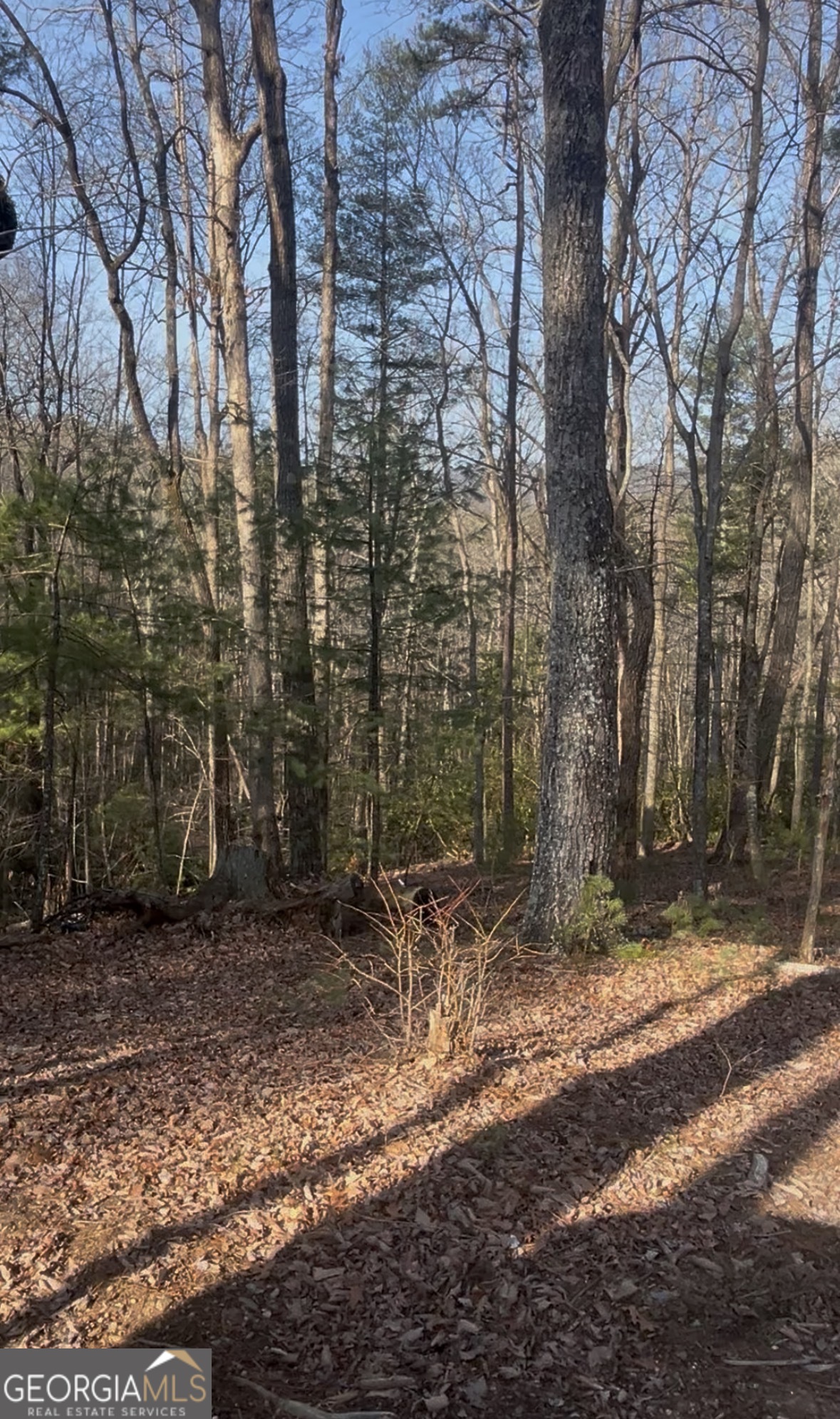 0 Highland Trail Property Photo 4
