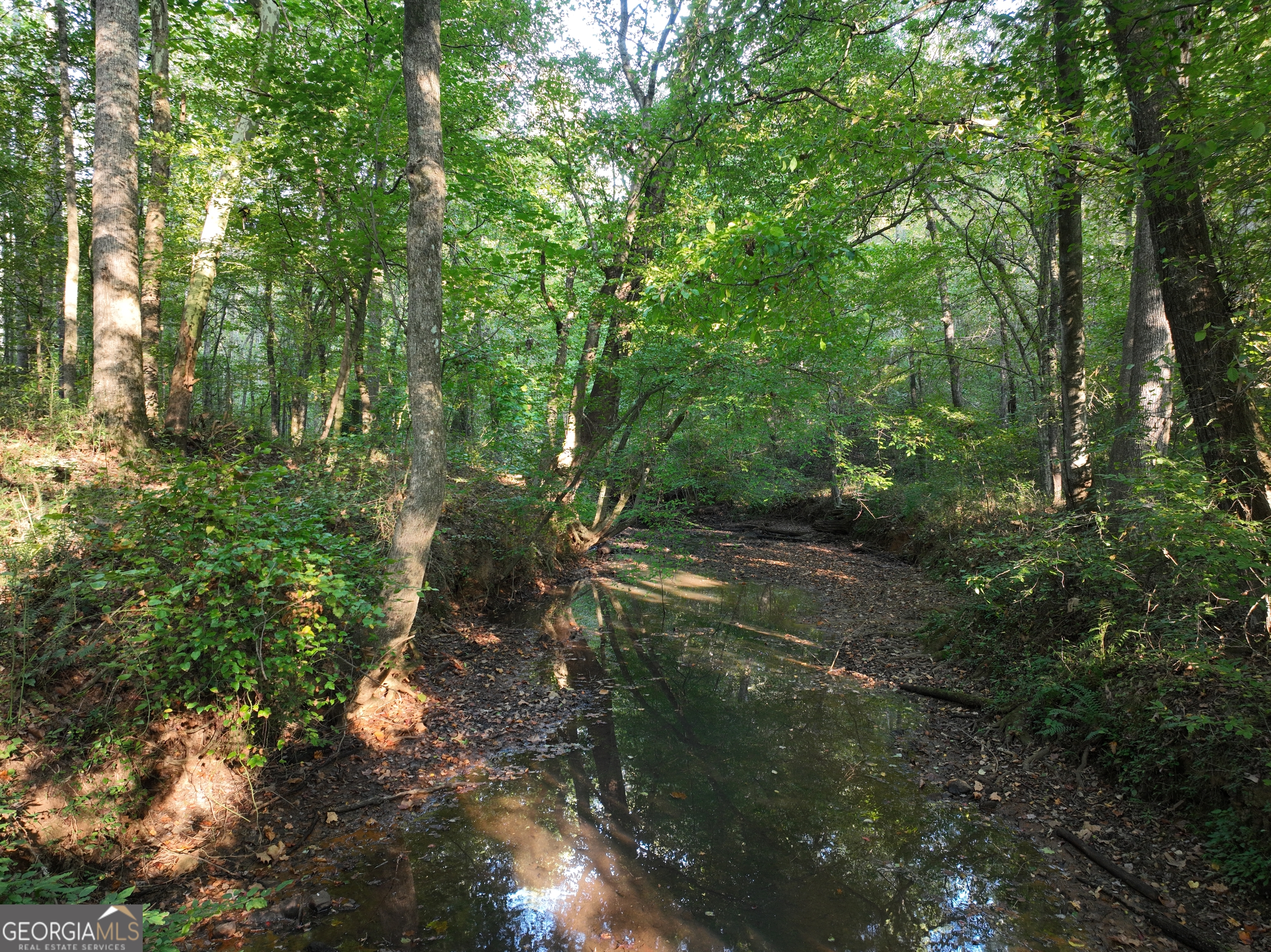 0 Shady Grove Road Property Photo 1
