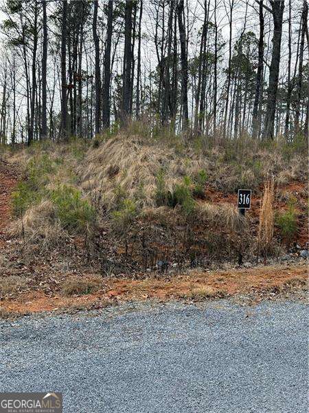 316 Pebble Trace Street Property Photo 16