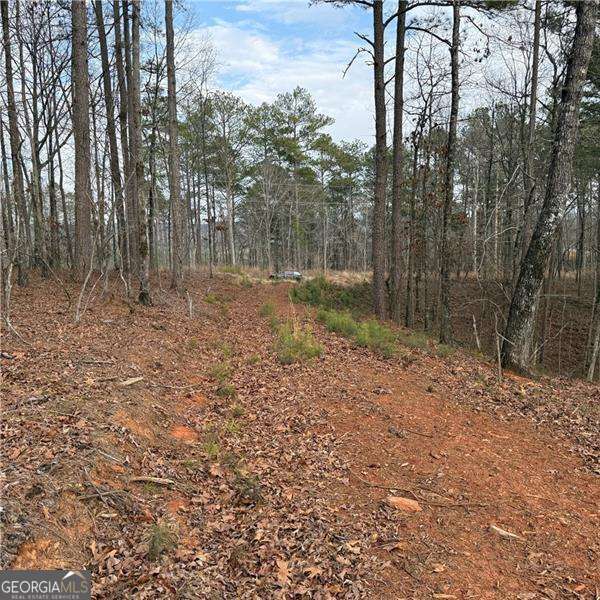 316 Pebble Trace Street Property Photo 26