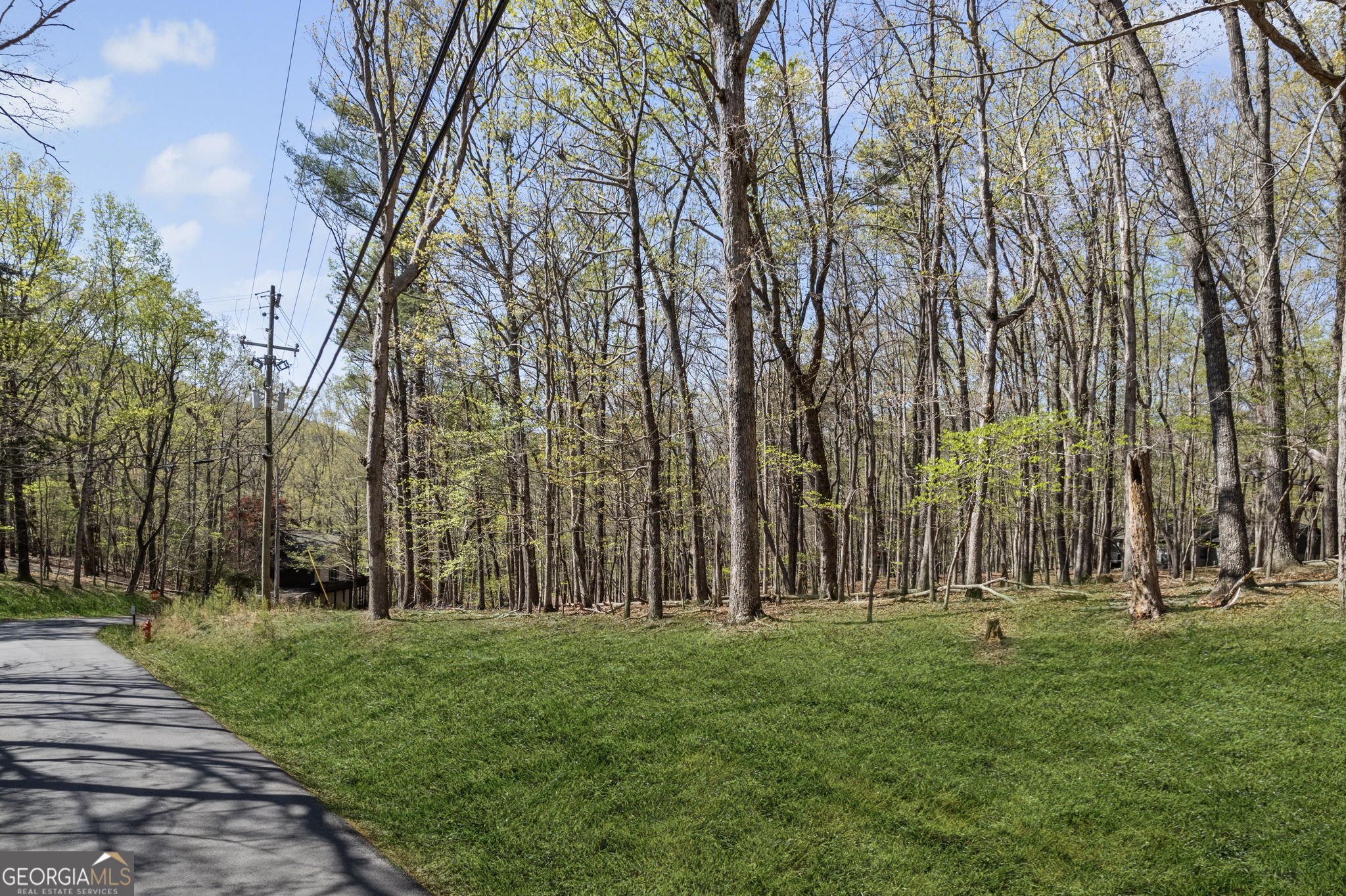 17 Denny Ridge Road Property Photo 3