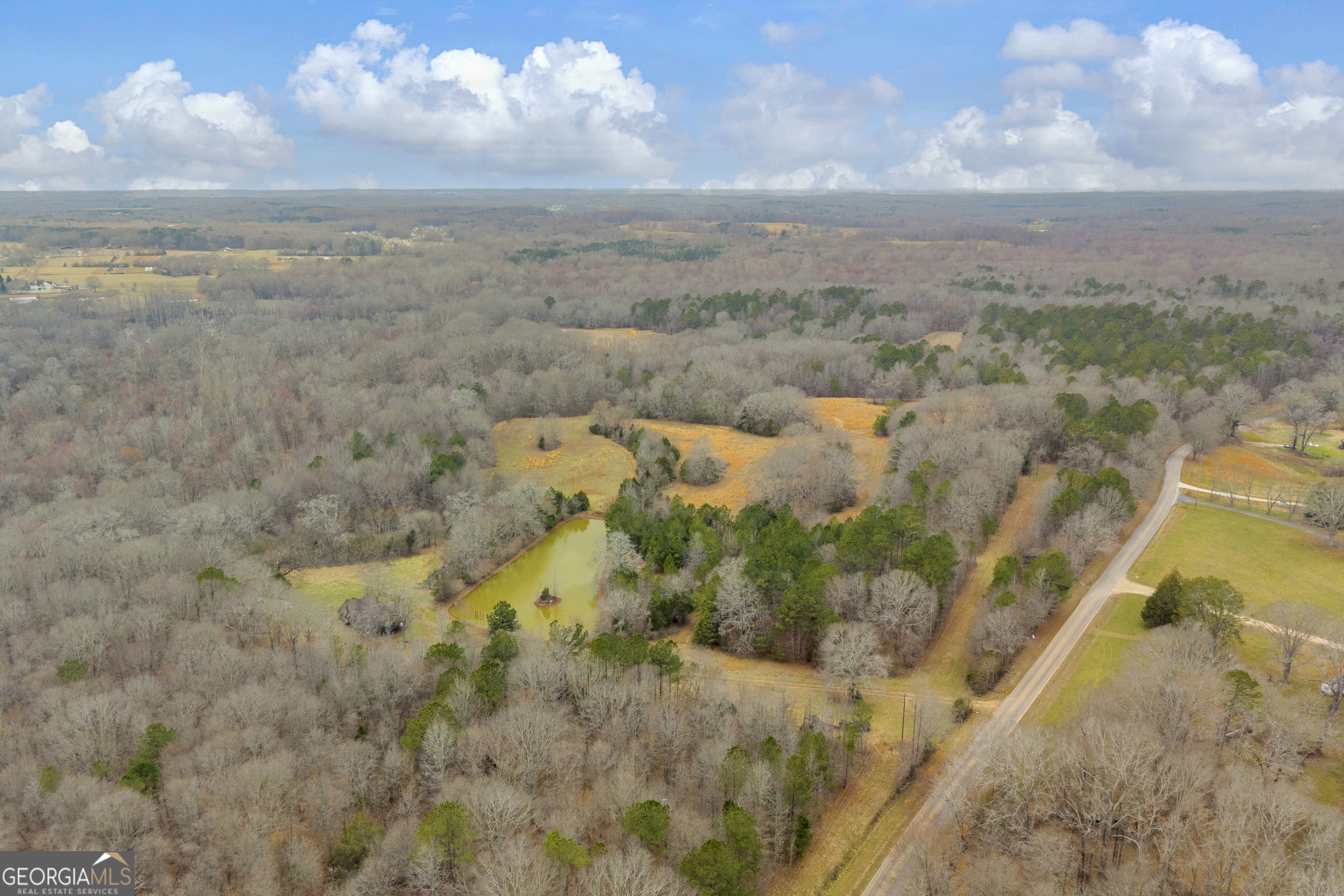 0 Cedar Grove Church Rd. Lot 1 Property Photo 5
