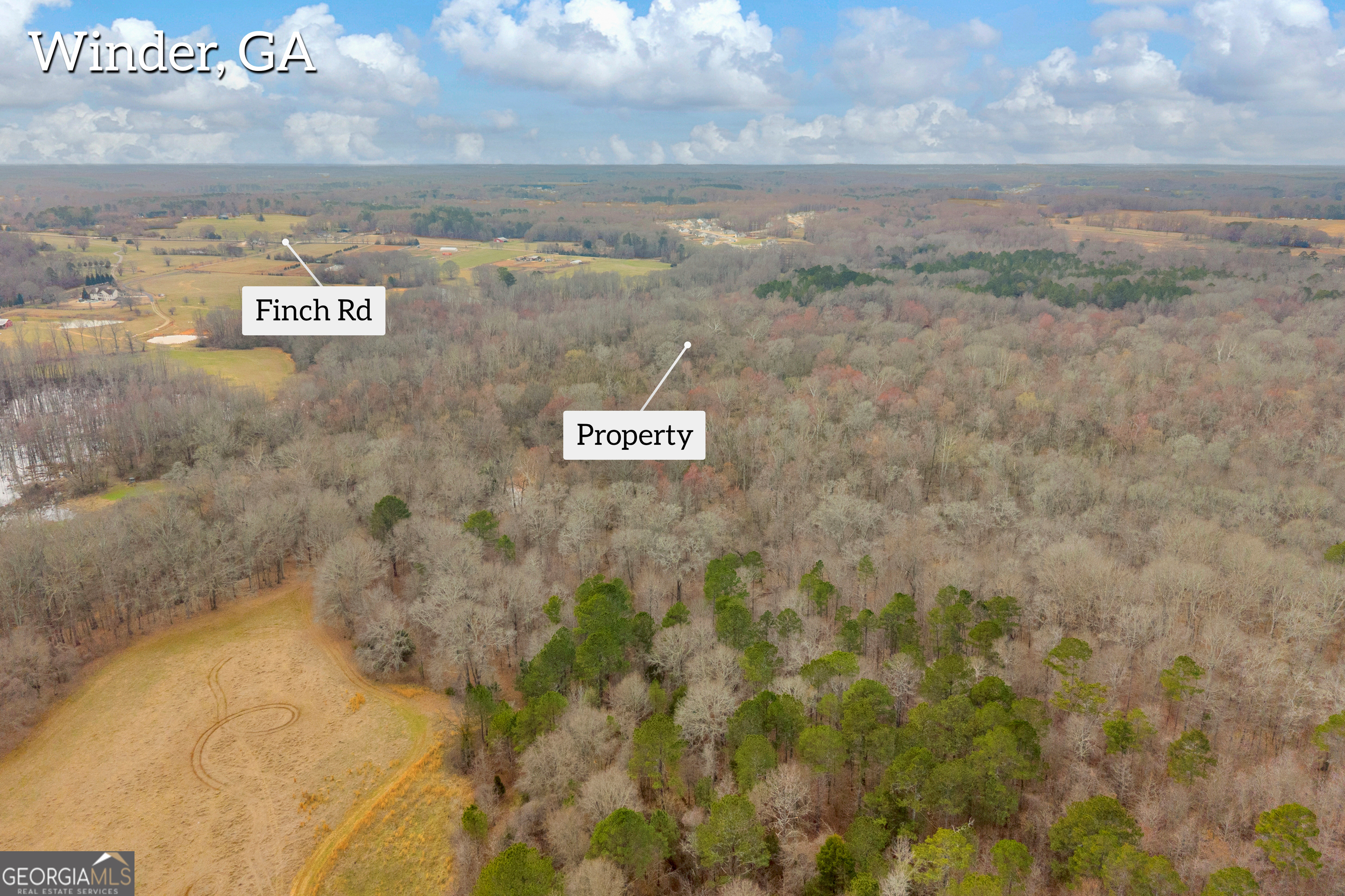 0 Cedar Grove Church Rd. Lot 1 Property Photo 8