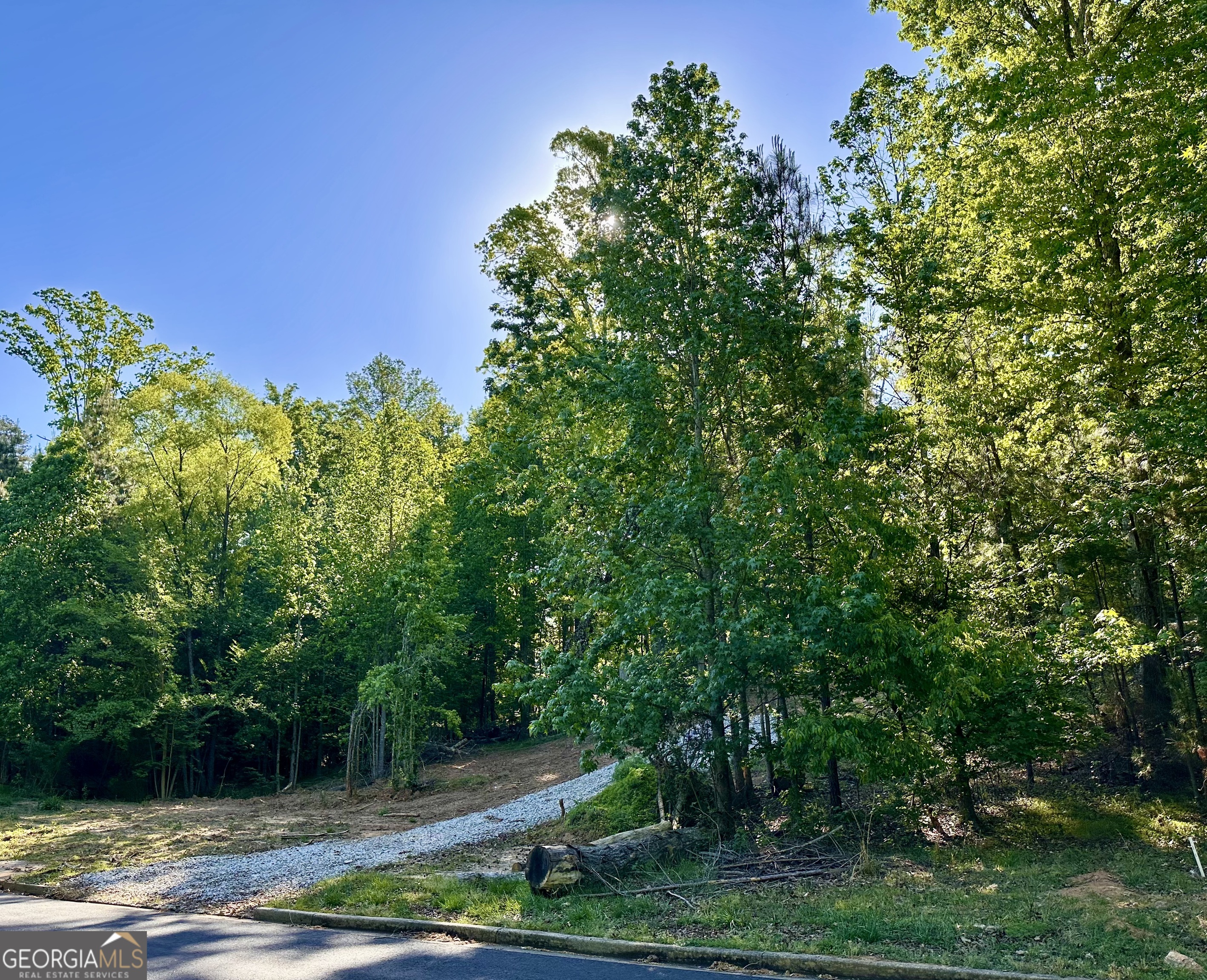564 Bear Creek Lane Property Photo 4