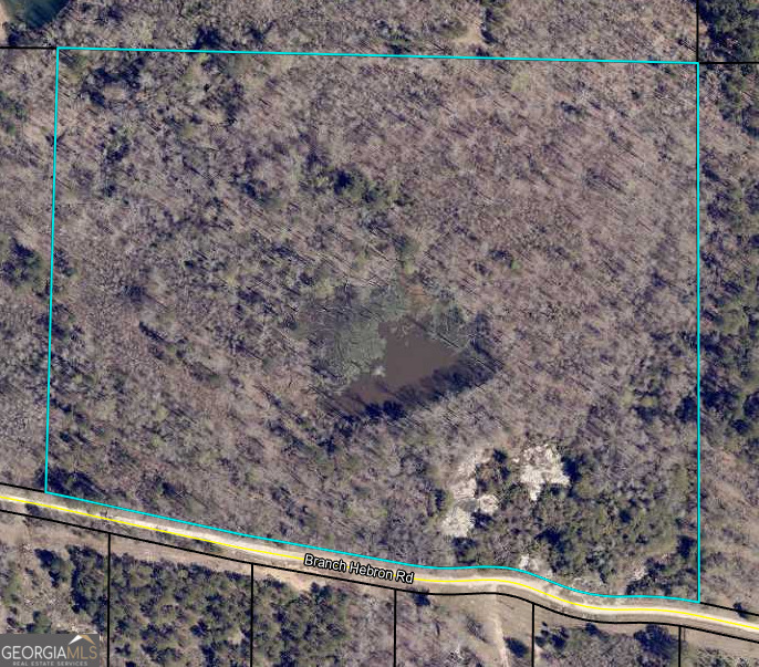 0 Branch Hebron Road Property Photo 1