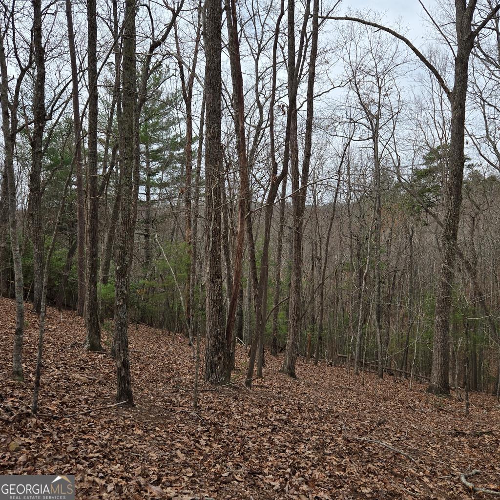 8.5 Blue Berry Ridge Property Photo 1