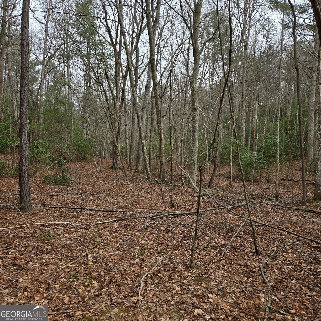 8.5 Blue Berry Ridge Property Photo 3