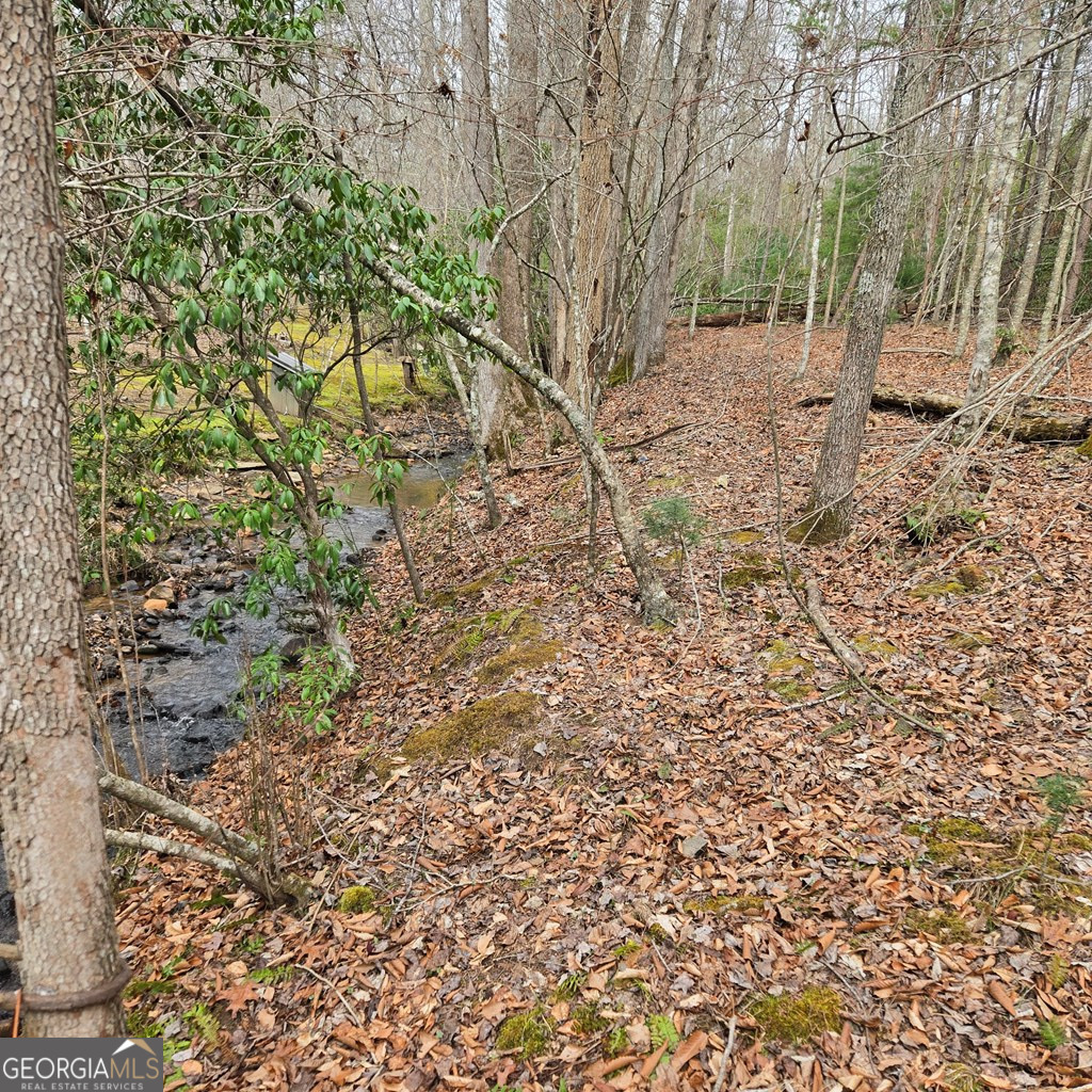 8.5 Blue Berry Ridge Property Photo 4
