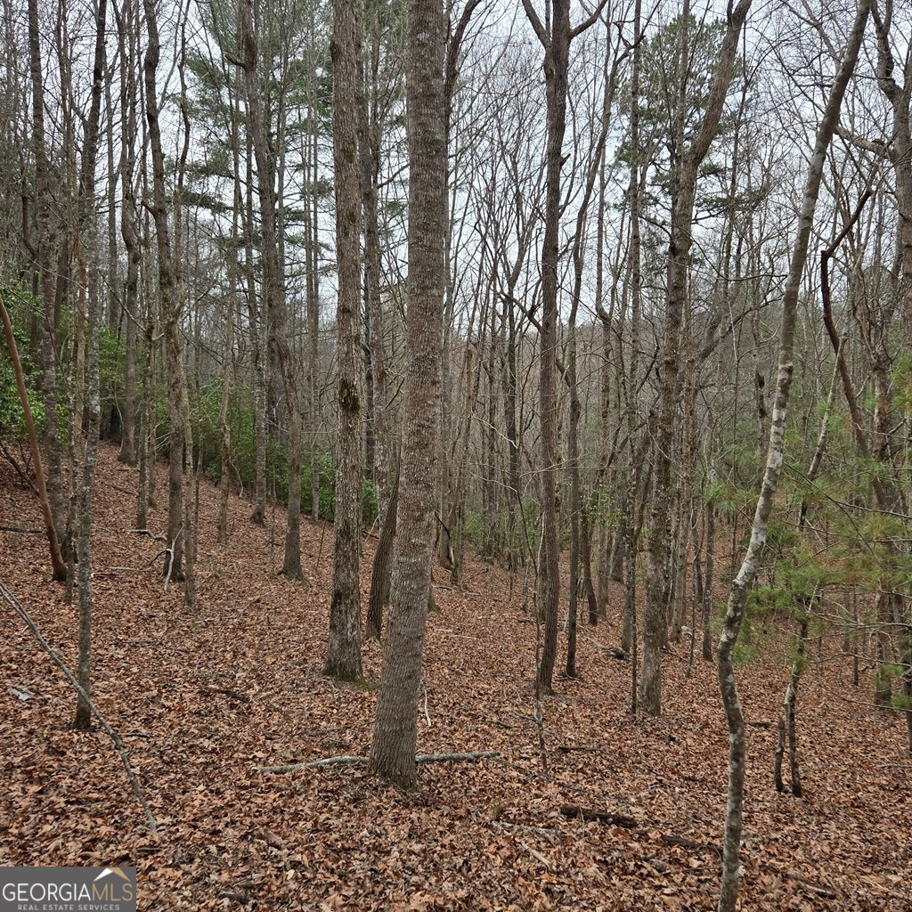 8.5 Blue Berry Ridge Property Photo 5