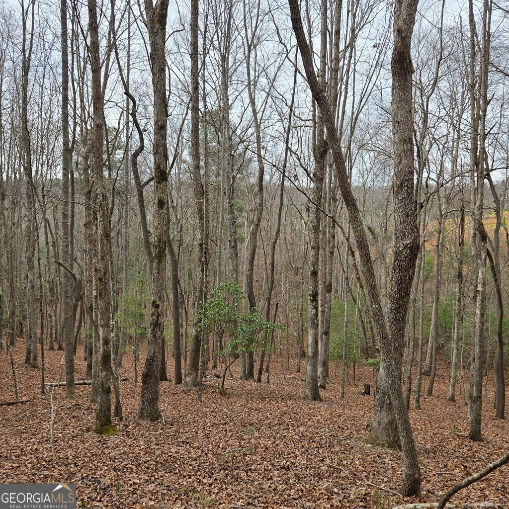 8.5 Blue Berry Ridge Property Photo 6