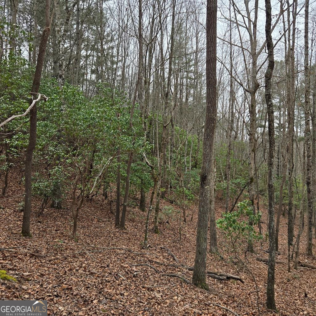 8.5 Blue Berry Ridge Property Photo 7