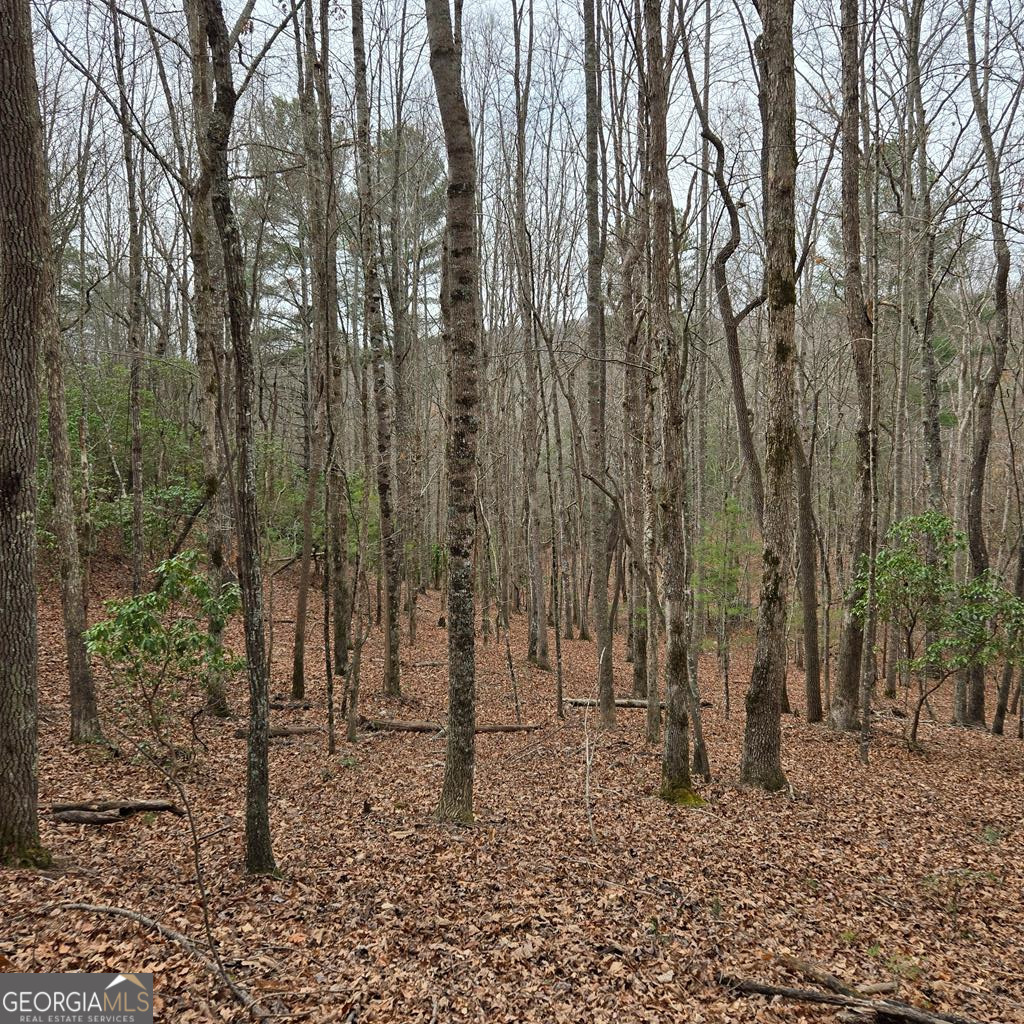 8.5 Blue Berry Ridge Property Photo 8