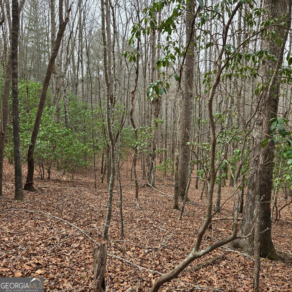 8.5 Blue Berry Ridge Property Photo 9