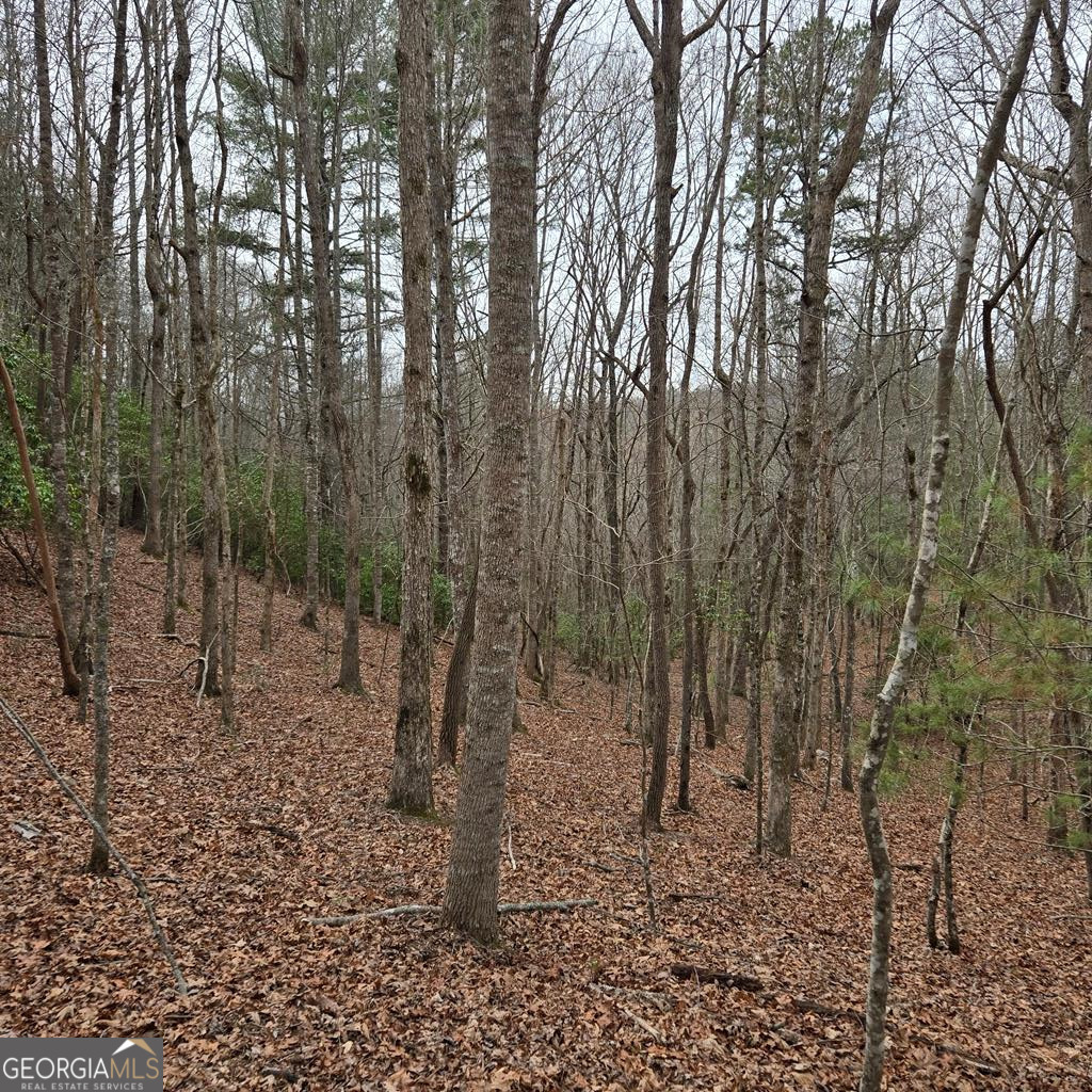 8.5 Blue Berry Ridge Property Photo 11