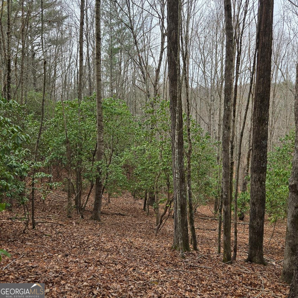8.5 Blue Berry Ridge Property Photo 14