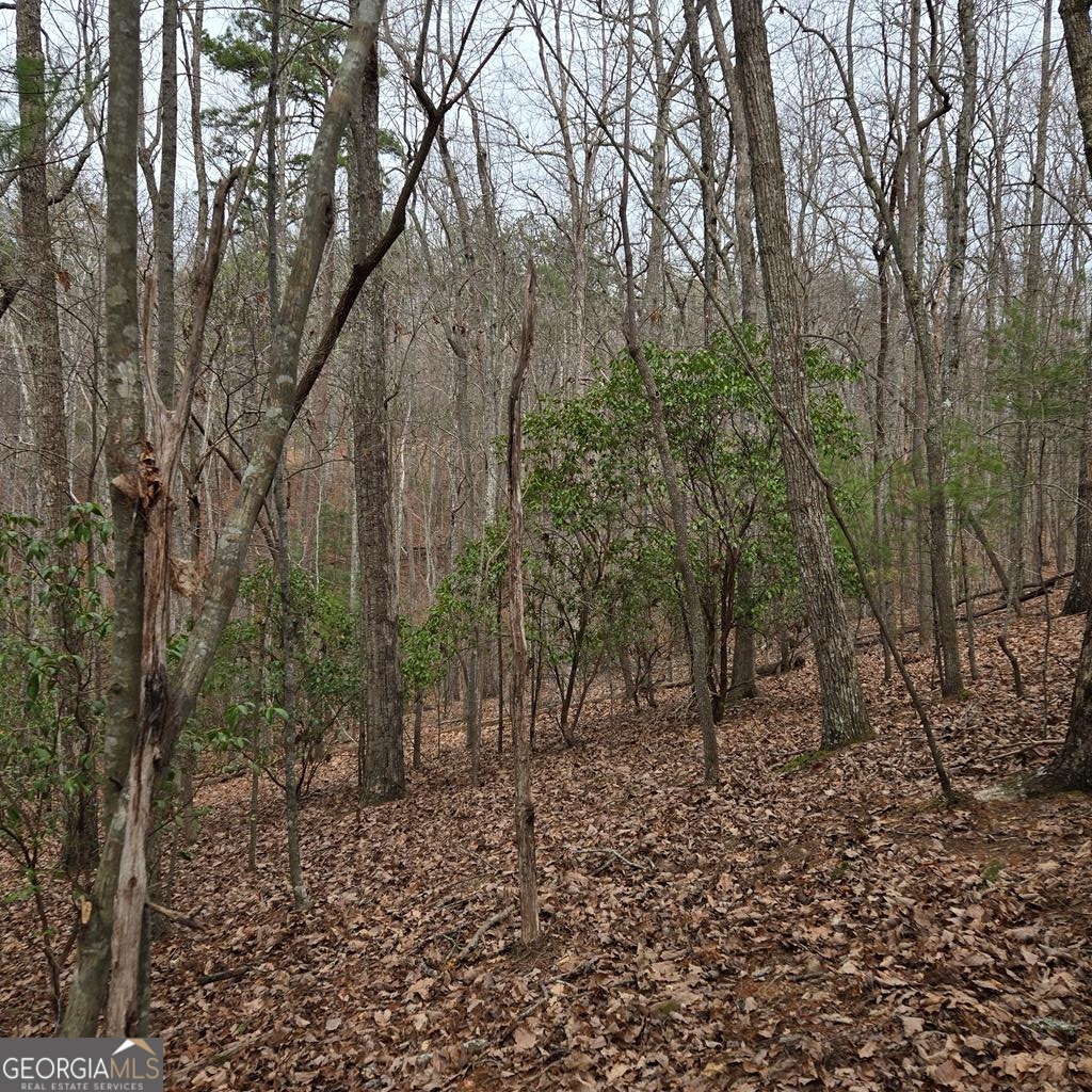 8.5 Blue Berry Ridge Property Photo 15