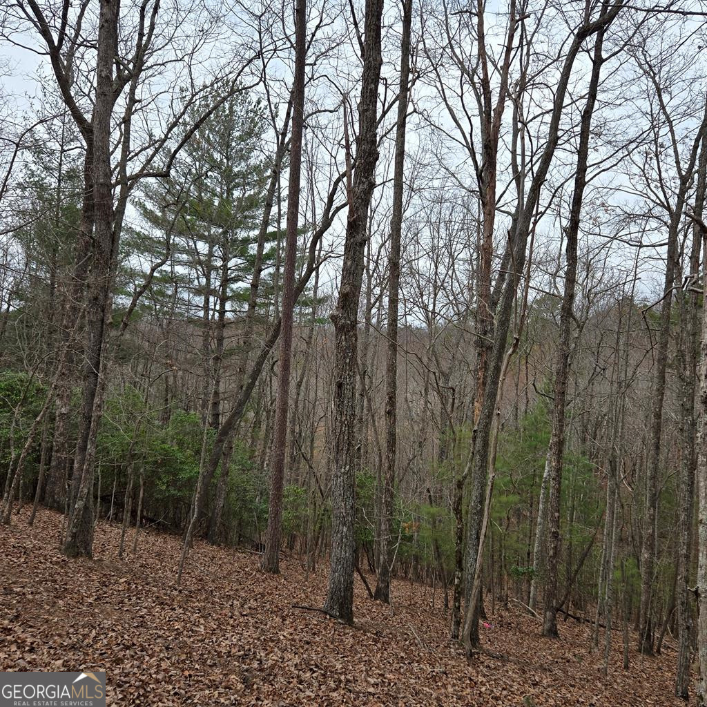 8.5 Blue Berry Ridge Property Photo 16