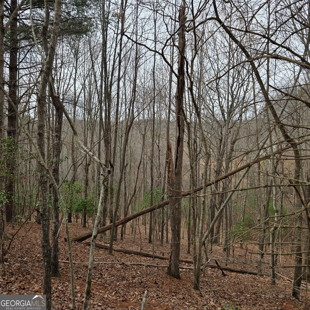 8.5 Blue Berry Ridge Property Photo 17