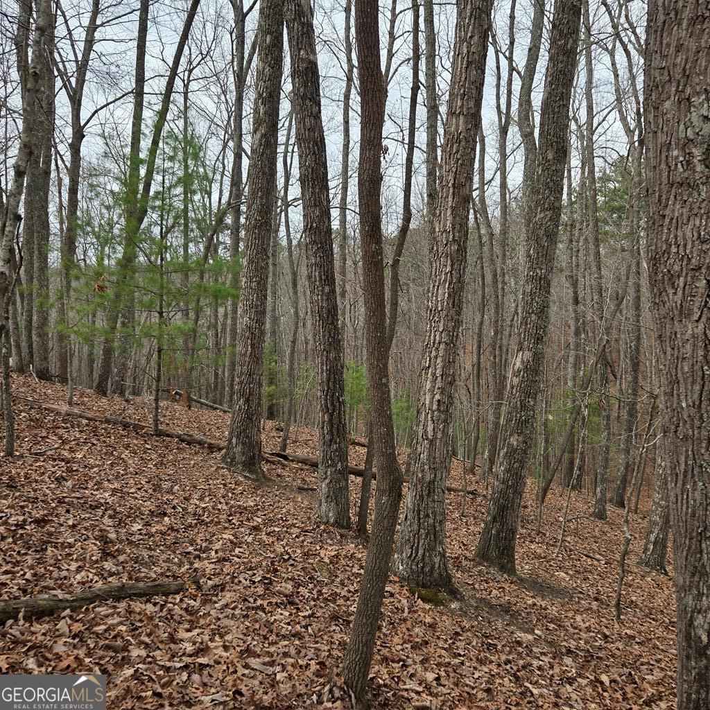 8.5 Blue Berry Ridge Property Photo 18