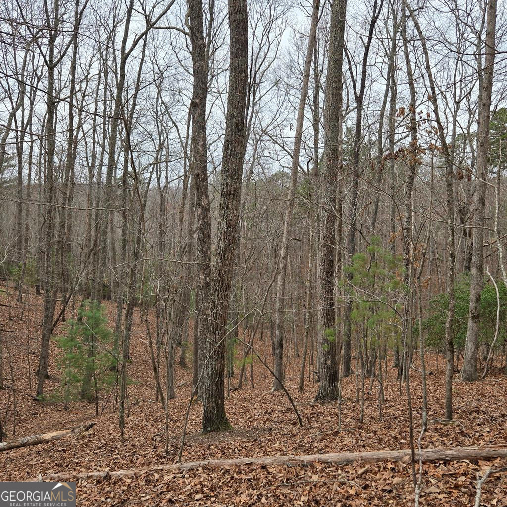 8.5 Blue Berry Ridge Property Photo 19