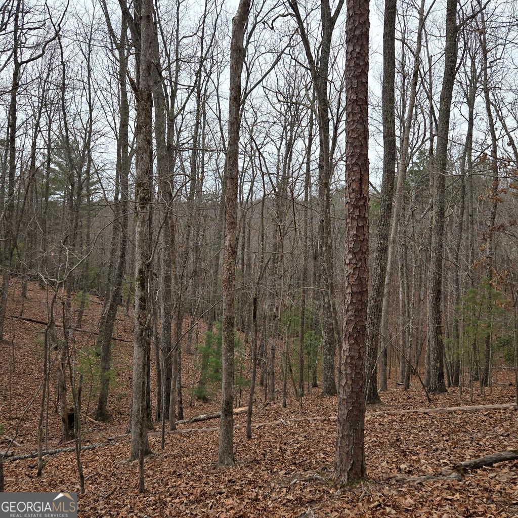 8.5 Blue Berry Ridge Property Photo 20