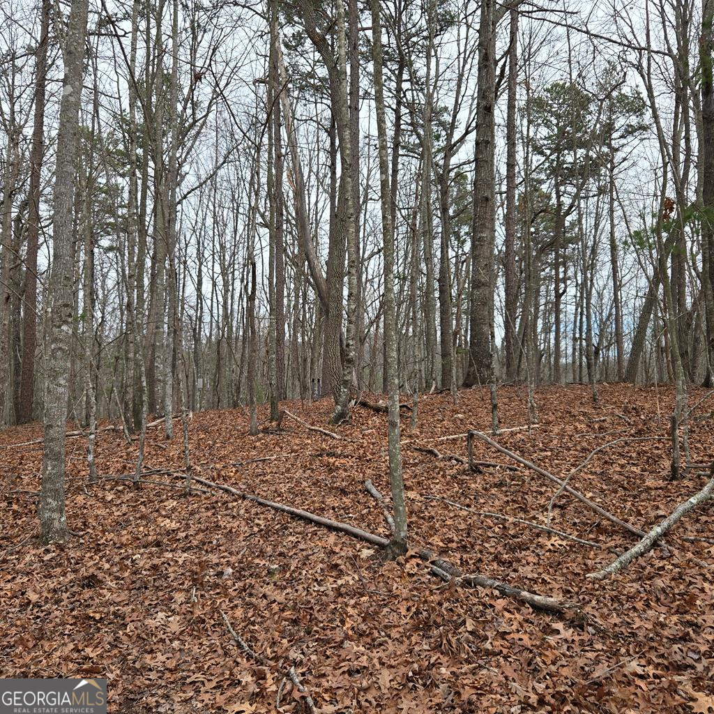 8.5 Blue Berry Ridge Property Photo 21
