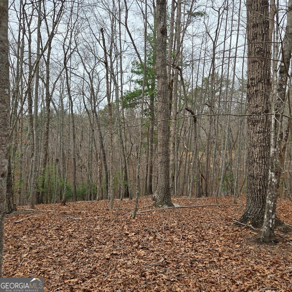 8.5 Blue Berry Ridge Property Photo 22