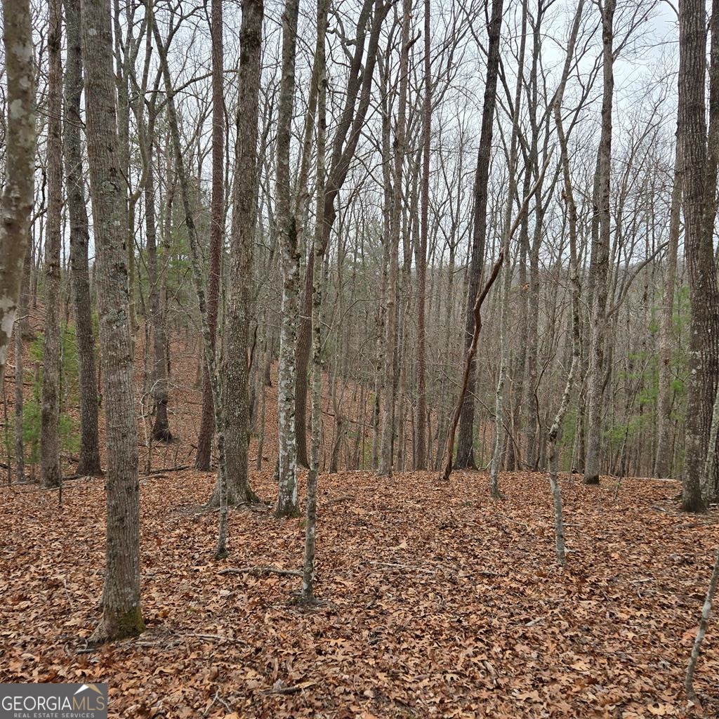 8.5 Blue Berry Ridge Property Photo 23