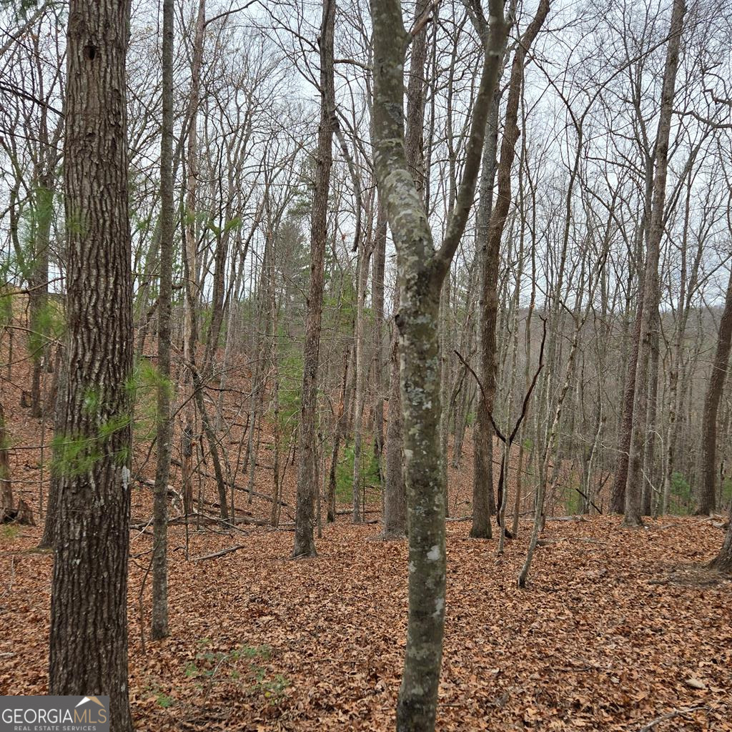 8.5 Blue Berry Ridge Property Photo 24