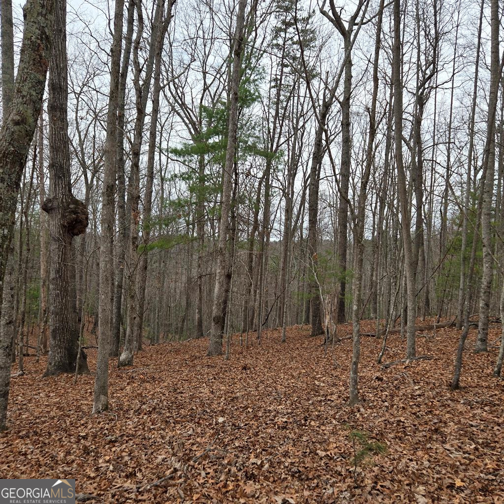 8.5 Blue Berry Ridge Property Photo 25